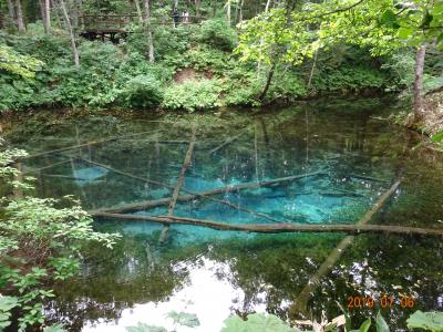 梅雨のない北海道に涼を求めてのドライブ旅行！　後編