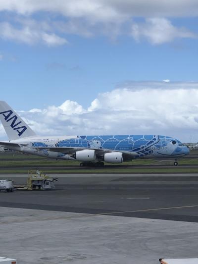 大韓航空ビジネスクラス、ハワイヒルトングランドワイキキアンペントハウスと、カハラホテルの男3人、女2人、食い倒れのハワイ旅