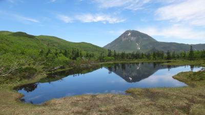 知床6月・羅臼湖への木道を長靴で歩く