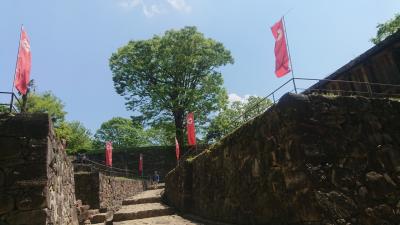 グンマー遠征☆その２：太田金山城・新田神社・足利氏館・唐沢山城＋＠