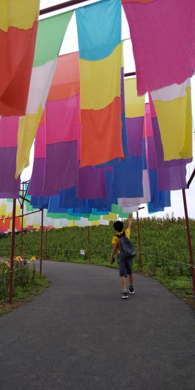 箱館山ゆり園から琵琶湖を臨む