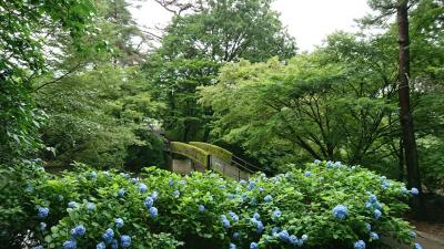 梅雨の中の群馬1泊2日旅　1日目（たくみの里～泰寧寺～ペンションポミエ)