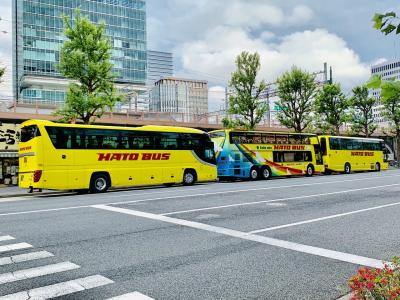 2019年6月 ３歳子連れ、東京母子旅行② ～しまじろうコンサート&amp;はとバスに乗るぞ！～