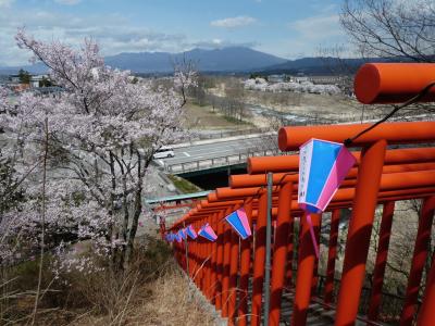 青春１８きっぷで信濃の五稜郭と新海三社神社に桜を見に。