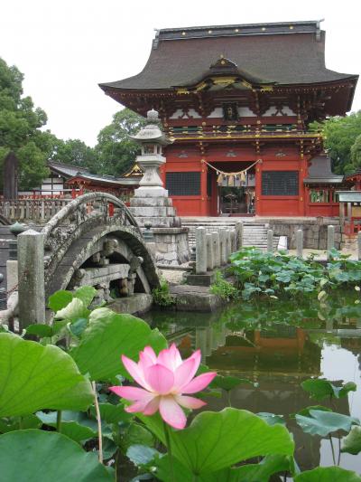 蓮の花咲く伊賀八幡宮と藤川宿(東海道五十三次37番目)⑤