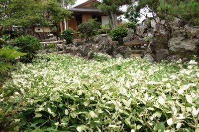 守山にこんなところが…。－大庄屋諏訪家屋敷－