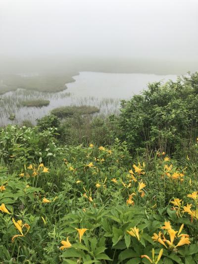 2019/7 信州 霧雨の八島湿原 ・天然酵母パンむく堂・美味しい蕎麦の花ちゃん・中軽井沢かぎもとや