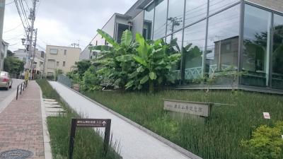 【東京を歩こう!】漱石山房記念館と北新宿の香港スイーツ 楊枝甘露