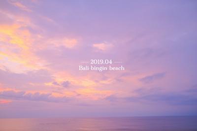 2019.04 魅惑の離島★Lembongan/Cenigan/Penida trip　２　［バリ島ｂｉｎｇｉｎビーチ編］