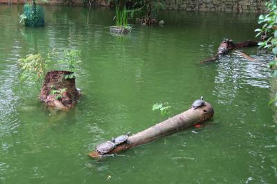 2019年GW アフリカ南部の旅＃１０～8日目　帰国～