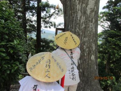 四国霊場・徳島編（２２）太龍寺を下山する。