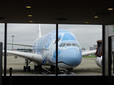 フライングホヌ(A380)で行くハワイ旅行 -1日目-