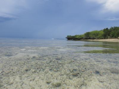 フィリピン　セブ島