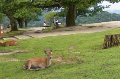 2019.6月 奈良奥山ドライブウェイと薬師寺