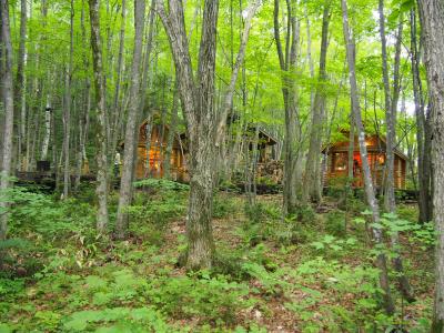 夏の北海道!ラベンダー畑と動物園①