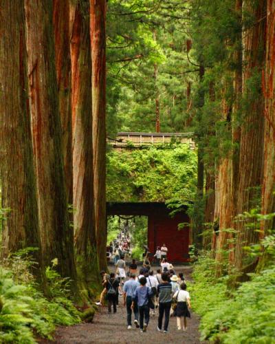 ブララブコー 「パワースポット戸隠神社五社巡りでパワー注入！！」