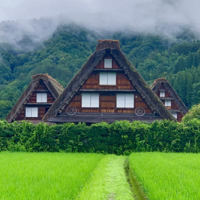 2019年7月 飛騨高山旅行 ②