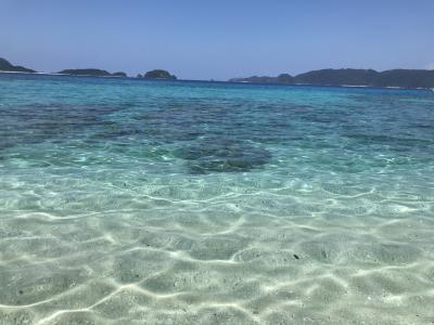 三連休だよ！リベンジ梅雨明け座間味 番外編