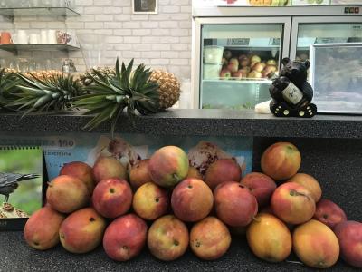 令和初の海外は台湾(*´ω`*) まあちゃん様オフ会に参加してきました♪