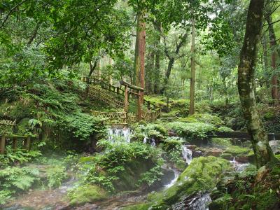 往復深夜バスで日帰り福井の旅（前編）~若狭 鯖街道・熊川宿と名水『瓜割の滝』へ~