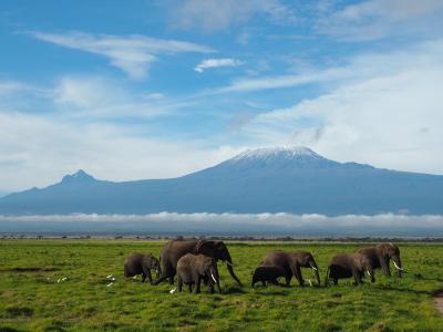 【GW】念願のサファリツアー!その2