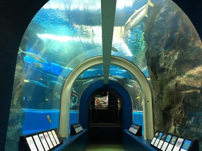 河畔の静かな宿への旅。後編　～老舗水族館へ～