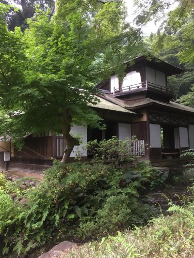 雨の三渓園をお散歩→中華街へ