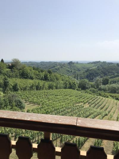 美しきアドリア海憧れのクロアチア 絵画のようなブレッド湖 スロベニア 4ワイナリー