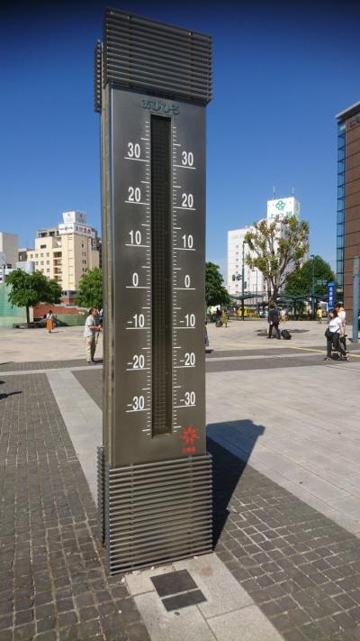 最高気温３７．９℃。灼熱の十勝を行く