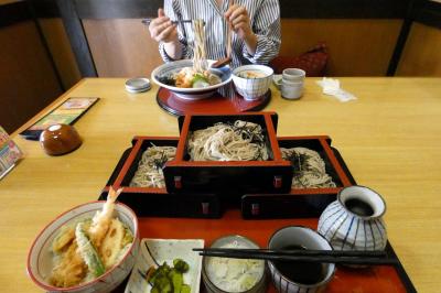 三島文教町の銀杏並木　和食麺処サガミ 三島萩店の昼食　三島市佐野体験農園 ナス・キュウリ・インゲン・スナックとうがらし・トマトの収穫