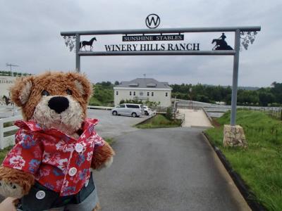 週末１泊２日中伊豆ワイナリー＆三島スカイウォーク