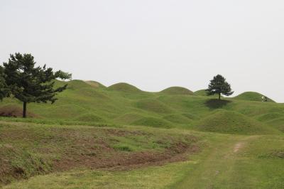 ２回目の大邱　その４　不老洞古墳群→七星市場→西門市場+まさかのトラブル連発！