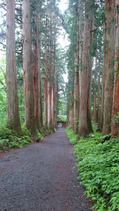 29回目のＯＴ９（大人の休日倶楽部パス）で行く戸隠神社とか