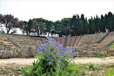 魅惑のシチリア×プーリア♪　Vol.49　☆ティンダリの古代ギリシア遺跡：夢の跡の劇場♪