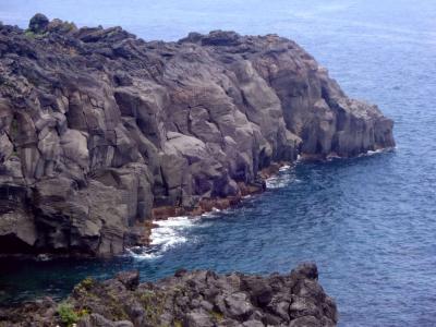 夏休みの家族旅行はやっぱり伊豆高原！