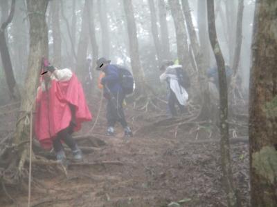 埼玉・奥武蔵＜武川岳ー二子山縦走＞日帰りトレッキング