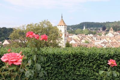 シャフハウゼンに関する旅行記 ブログ フォートラベル スイス Schaffhausen シャフハウゼンに関する旅行記 ブログ フォートラベル スイス Schaffhausen