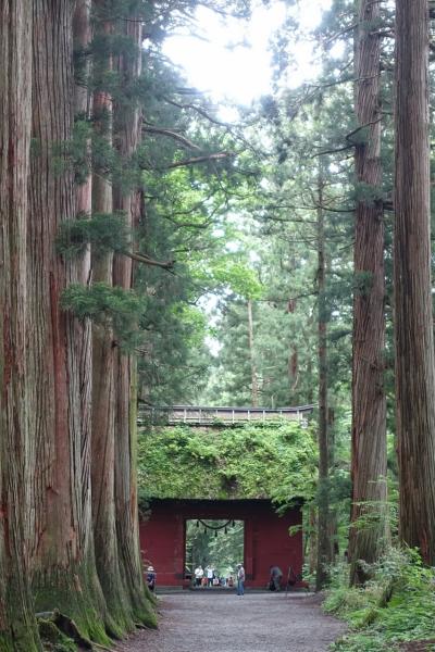 信州長期滞在スローライフの旅。⑤レンタカーでまわる戸隠五社巡り、うずらやさんのお蕎麦ランチ編