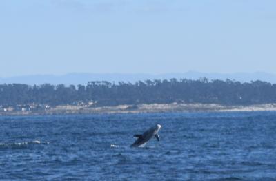 カリフォルニア家族旅行6泊8日（2）LA→モントレー→サンフランシスコ