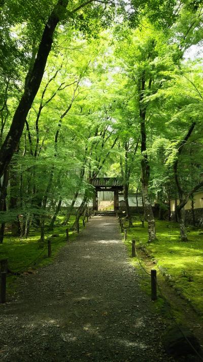 2019年令和元年の初夏 京都一泊旅行