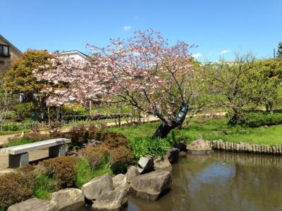 馬場花木園