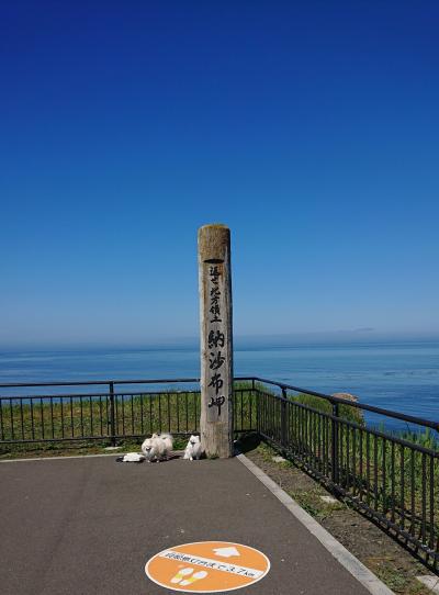 楽しんだぜ！！ ２０１９  北海道  ６日目 『厚岸のカキ☆納沙布岬☆浜中町でルパン☆霧多布岬・アゼチの岬☆コンキリエでBBQ』の旅   