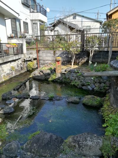 初の18きっぷ体験！三島日帰り湧水をめぐって。