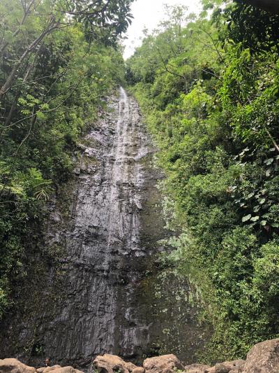 ７歳の息子と行くハワイ７日間の旅