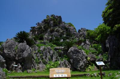 2019年7月　夏の沖縄へ（3日目-3）～大石林山