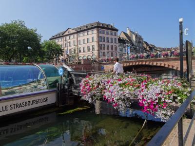 フランス アルザス、ブルゴーニュ地方ワインツアー とパリ (3) ストラスブール 後半