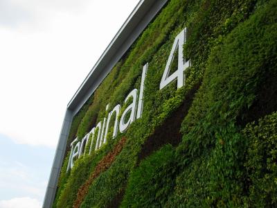 星国三大海南鶏飯を食す旅 おまけ チャンギ空港ターミナル4