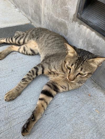 初☆プーケット旅行!その3_2019,7/11~7/15(3日目&4日目)