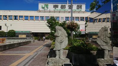 2019.7月  餃子だけを食べ続けた日