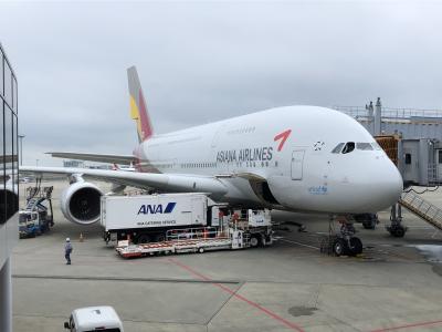 ヒャヒャしながら・・・今までで1番短い一人旅(*^▽^*)